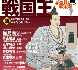 週刊ビジュアル戦国王35号